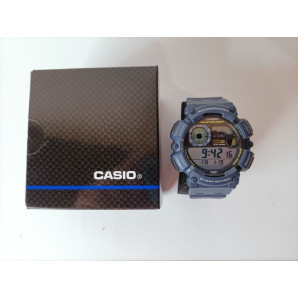 Zegarek męski CASIO WS-1500H
